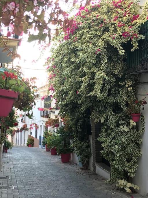Casa Maria Lejlighed Estepona Eksteriør billede